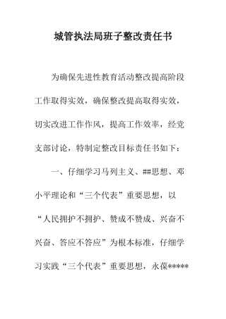 城管执法局班子整改责任书--精编范文