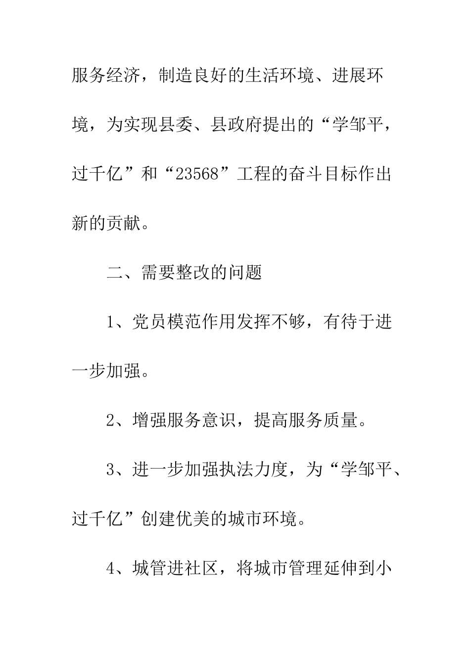 城管执法局领导班子整改方案--精编范文_第3页