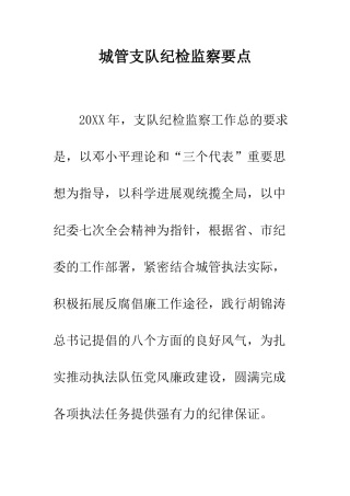 城管支队纪检监察要点--精编范文