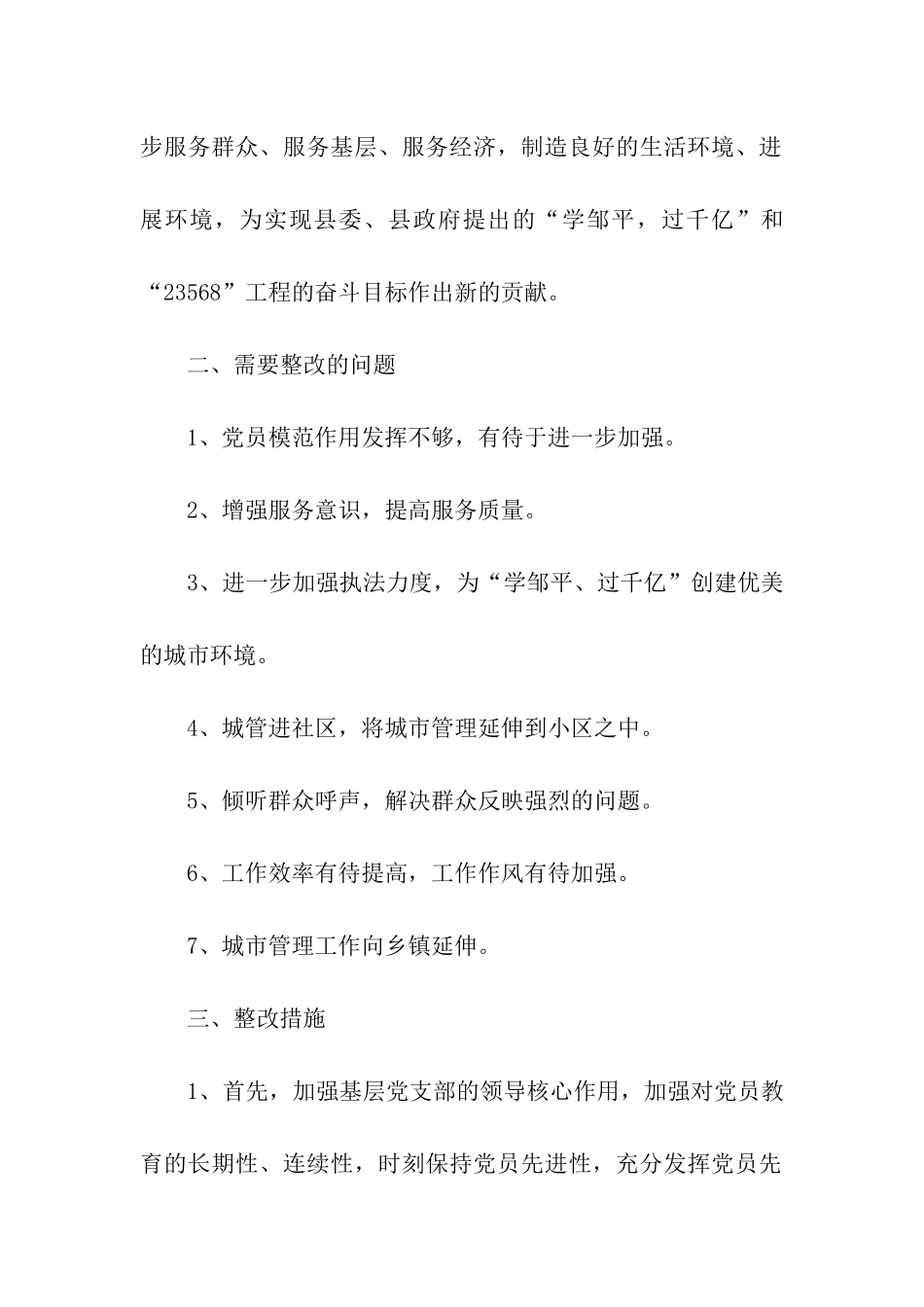 城管执法局领导班子整改方案_第2页