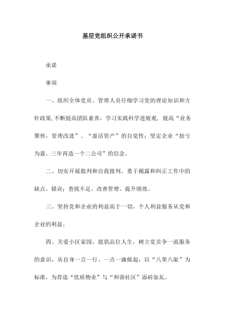 基层党组织公开承诺书-2