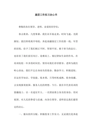 基层工作实习决心书
