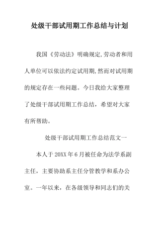 处级干部试用期工作总结与计划--精编范文