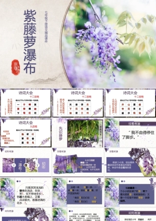 （同课异构）紫藤萝瀑布（2022.4.19）