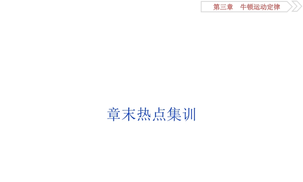 11 章末热点集训