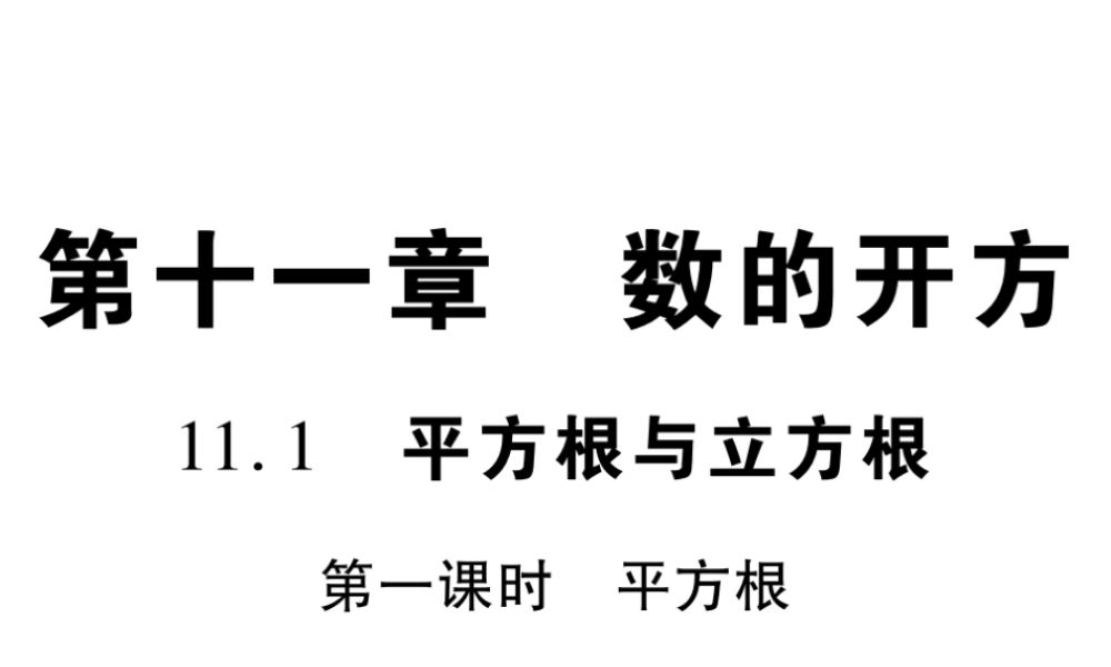 11.1 第一课时.pptx