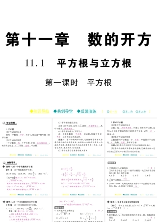 11.1 第一课时.pptx