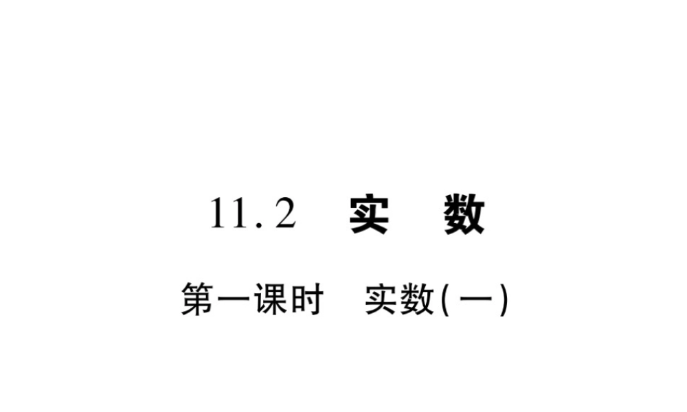 11.2 第一课时.pptx