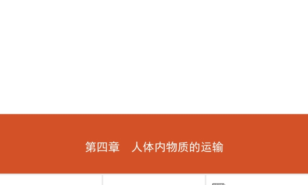 11第四单元 第四章