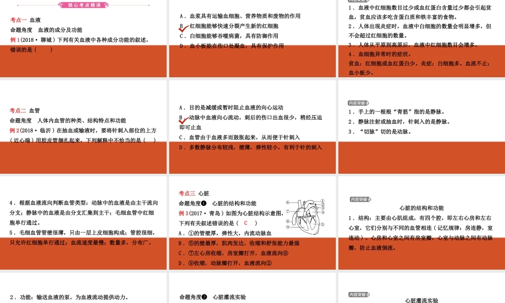 11第四单元 第四章