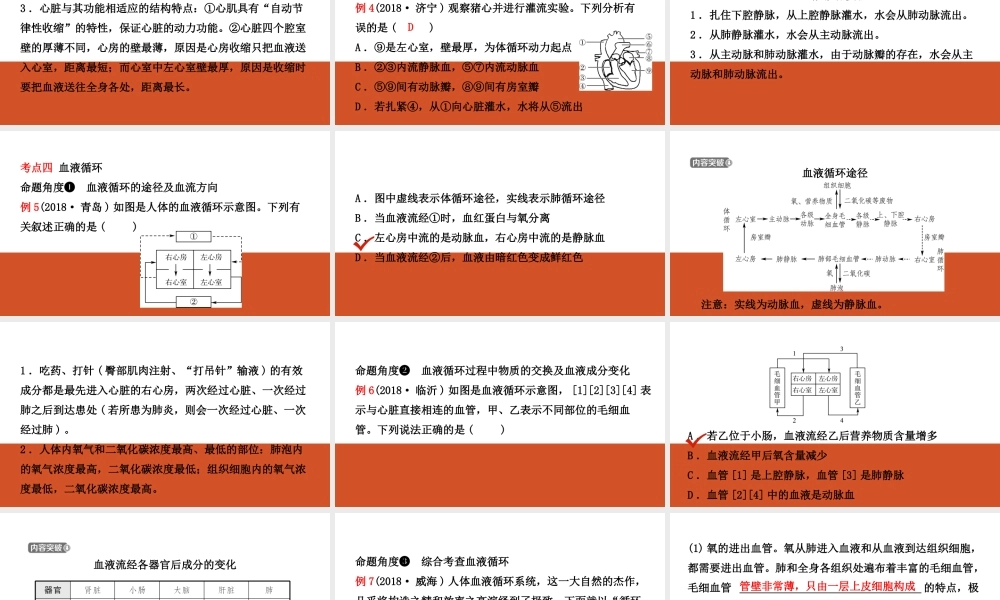 11第四单元 第四章