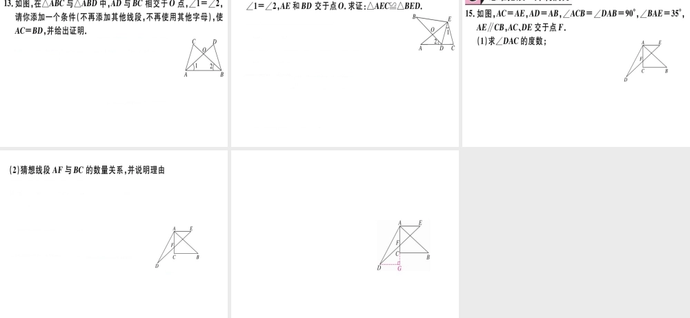 12.2  第3课时  “边角边”“角角边”