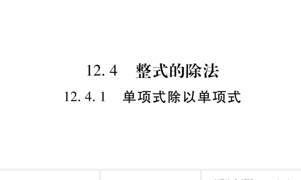 12.4.1单项式除以单项式
