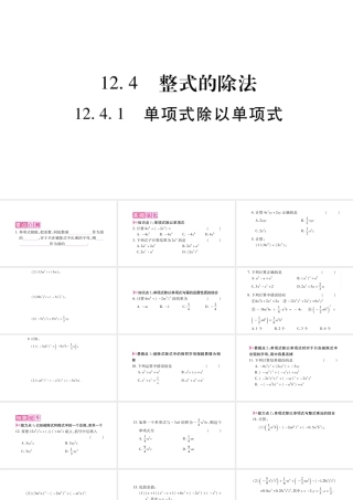 12.4.1单项式除以单项式