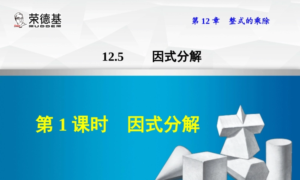 12.5.1   因式分解