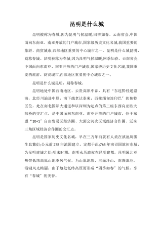昆明是什么城