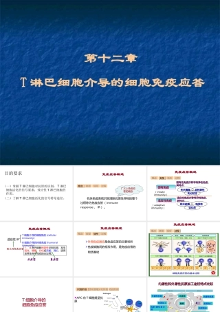 12T淋巴细胞介导的细胞免疫应答