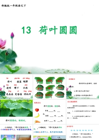 13. 荷叶圆圆