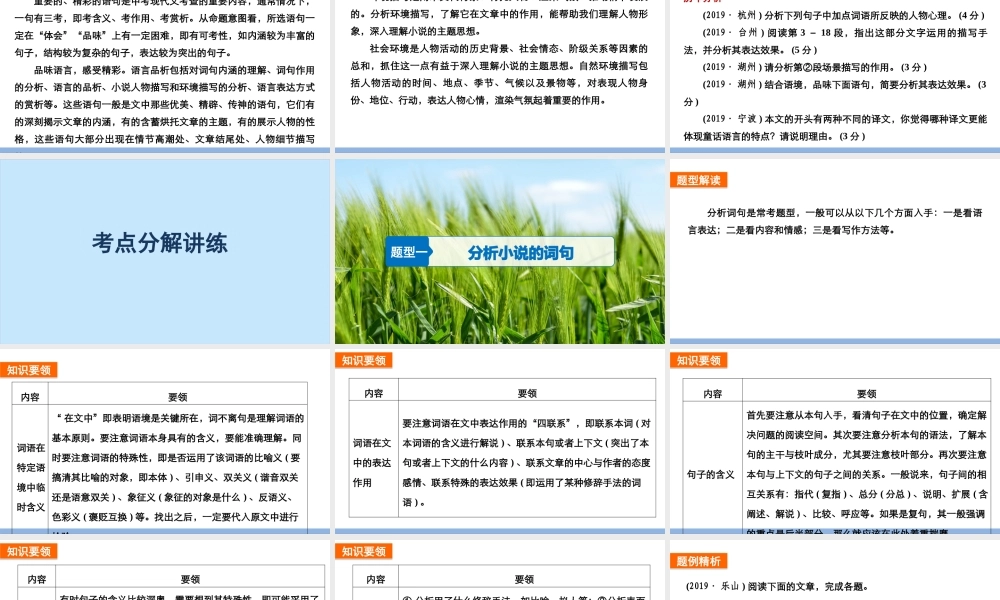 12第二章  小说阅读  第3讲　语言品味和描写分析