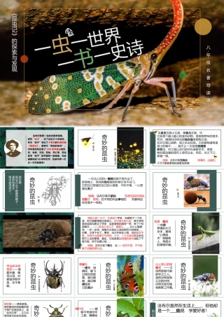 （同课异构）一虫一世界，一书一史诗——《昆虫记》导读 2022.5.31