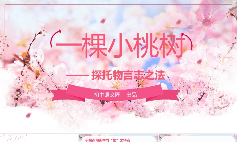 【公开课】一棵小桃树