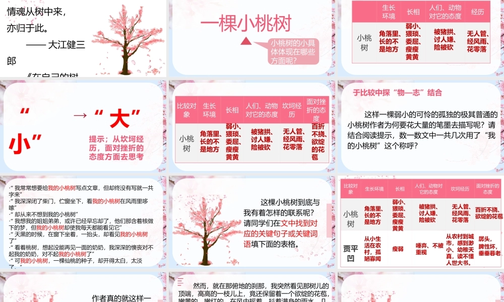 【公开课】一棵小桃树