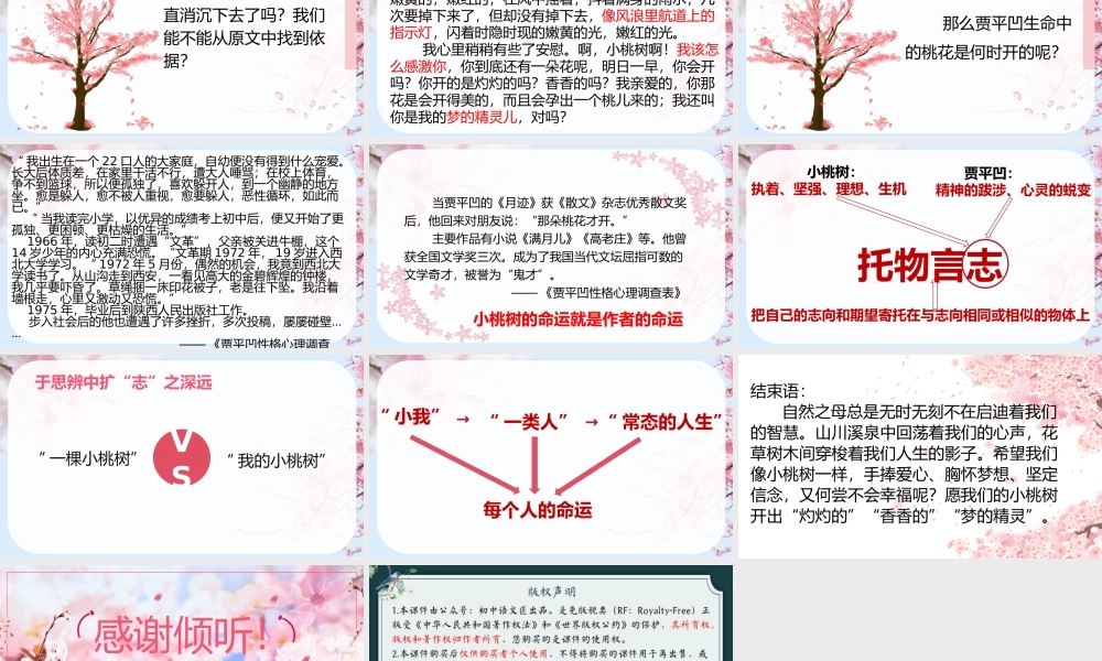 【公开课】一棵小桃树