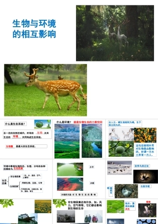 1.2生物与环境的相互影响 课件（共41张PPT）
