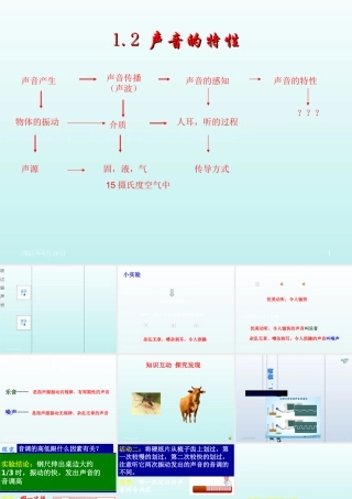 1.2声音的特征课件标准(共85张PPT)