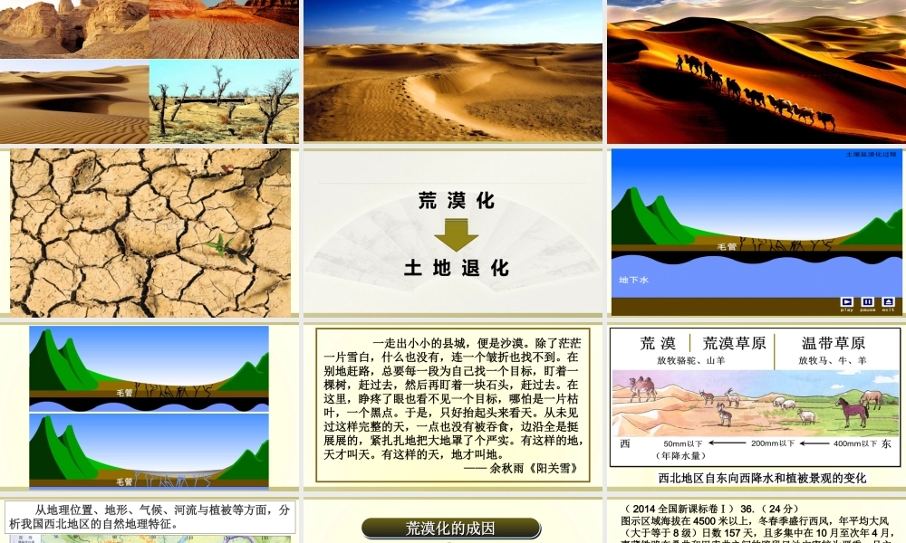 2.1荒漠化的防治