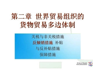 货物贸易法律制度(2)反倾销法律制度