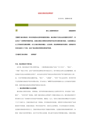 论驰名商标的法律保护 (2)