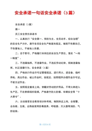安全承诺一句话安全承诺(3篇)
