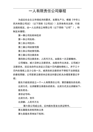 一人有限责任公司章程