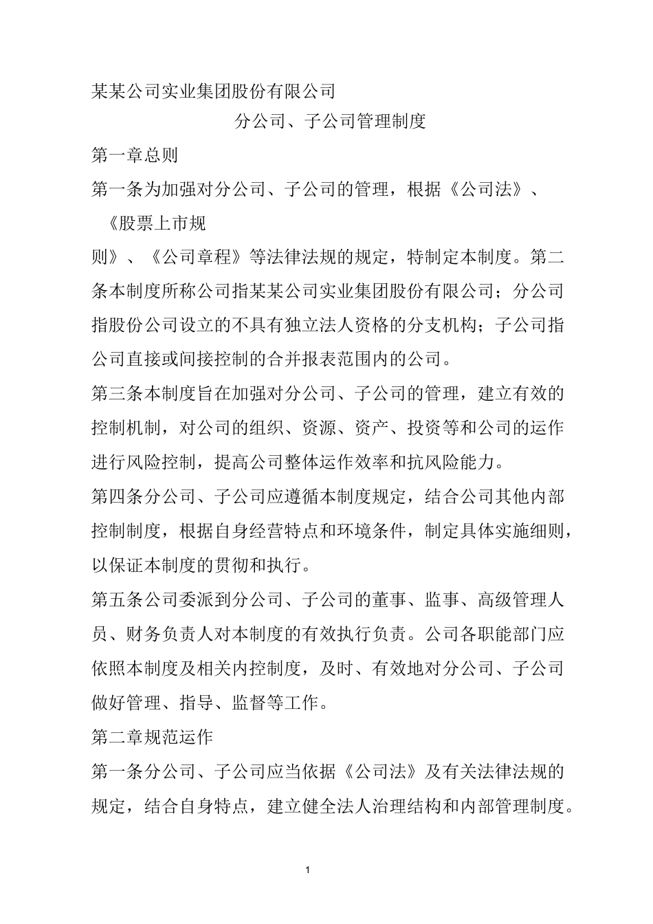 分子公司管理制度_第1页