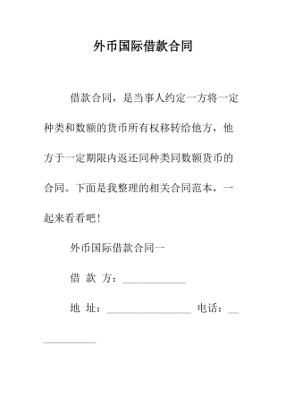 外币国际借款合同--精编范文