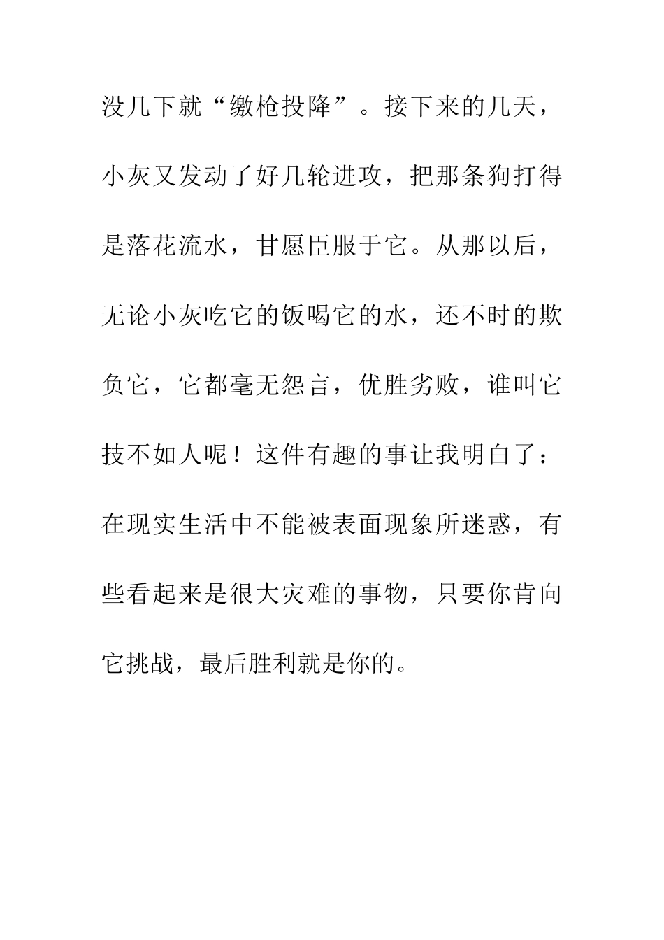 多姿多彩的寒假_第3页