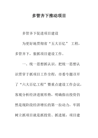 多管齐下推进项目--精编范文