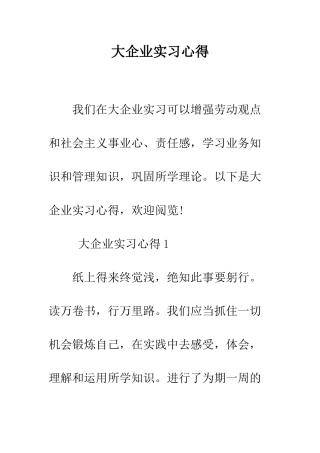 大企业实习心得--精编范文