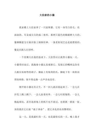 大伯家的小猫-3