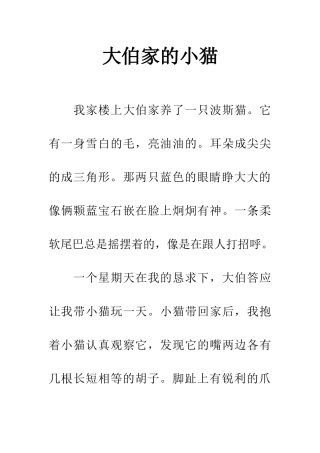 大伯家的小猫
