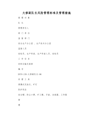 大修副队长风险管理标准及管理措施