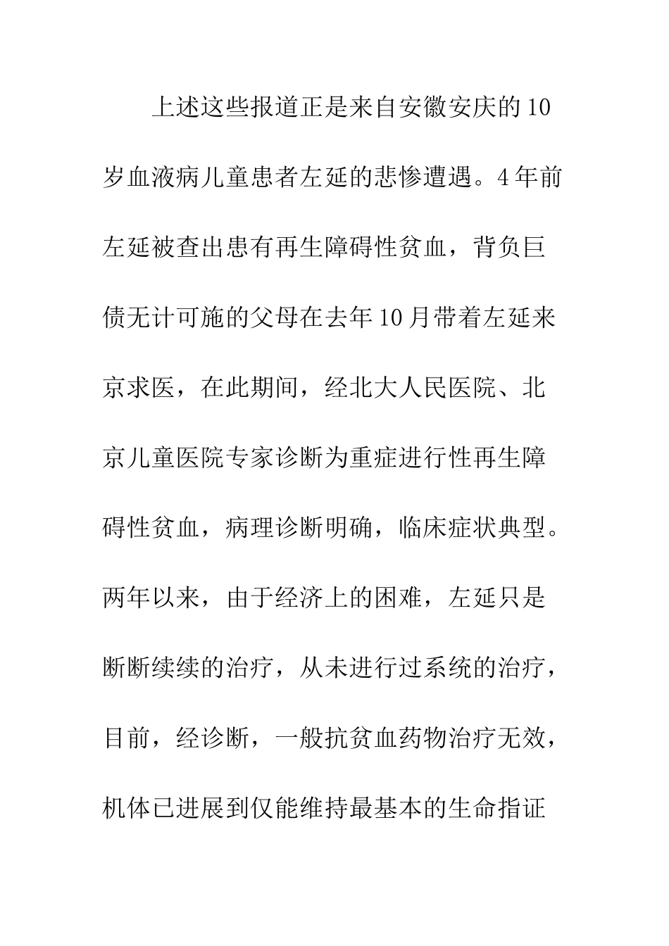 大型慈善公益演出策划书--精编范文_第2页