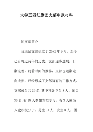 大学五四红旗团支部申报材料--精编范文
