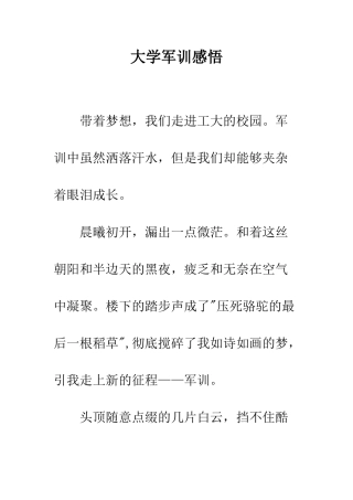 大学军训感悟--精编范文