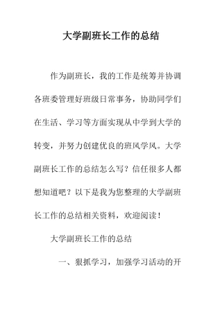 大学副班长工作的总结--精编范文