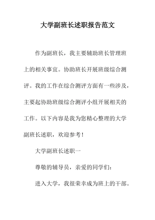 大学副班长述职报告范文--精编范文