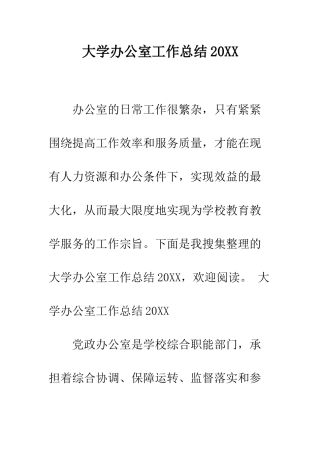 大学办公室工作总结2025--精编范文