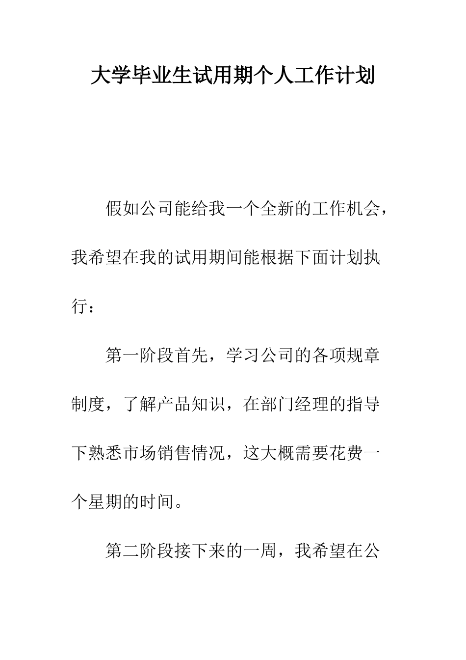 大学毕业生试用期个人工作计划--精编范文_第1页