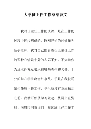 大学班主任工作总结范文--精编范文